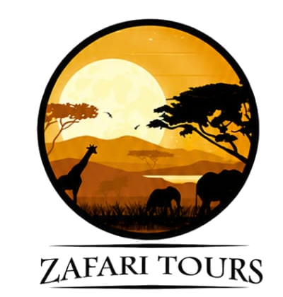 Zafari Tours